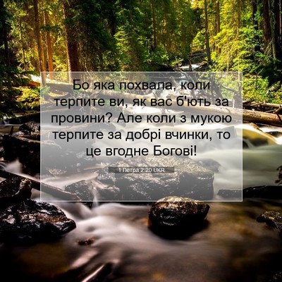 Picture 07 - 1 Петра 2:20 UKR - Бо яка похвала, коли - Bible Verse Picture