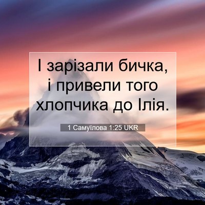 Picture 07 - 1 Самуїлова 1:25 UKR - І зарізали бичка, і привели - Bible Verse Picture
