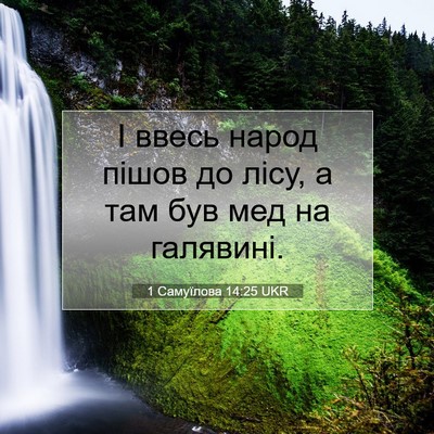 Picture 07 - 1 Самуїлова 14:25 UKR - І ввесь народ пішов до - Bible Verse Picture