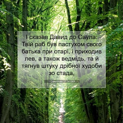Picture 07 - 1 Самуїлова 17:34 UKR - І сказав Давид до Саула: - Bible Verse Picture