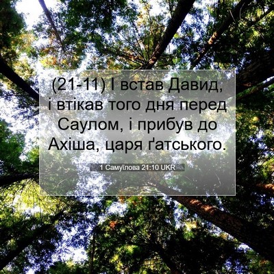 Picture 07 - 1 Самуїлова 21:10 UKR - (21-11) І встав Давид, і втікав - Bible Verse Picture
