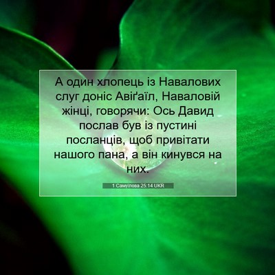 Picture 07 - 1 Самуїлова 25:14 UKR - А один хлопець із - Bible Verse Picture