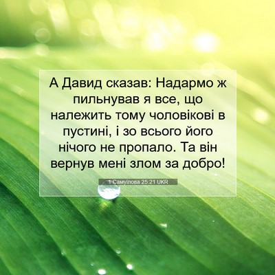 Picture 07 - 1 Самуїлова 25:21 UKR - А Давид сказав: Надармо ж - Bible Verse Picture