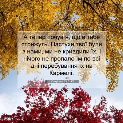 Picture 07 - 1 Самуїлова 25:7 UKR - А тепер почув я, що в тебе - Bible Verse Picture