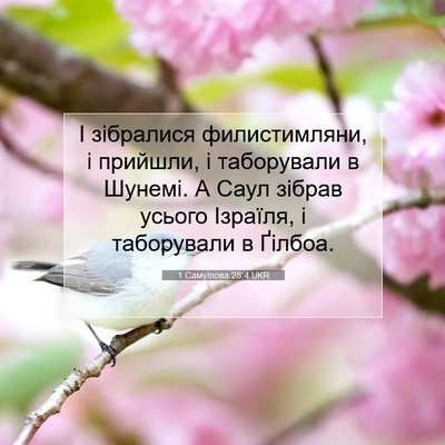 Picture 07 - 1 Самуїлова 28:4 UKR - І зібралися филистимляни, - Bible Verse Picture