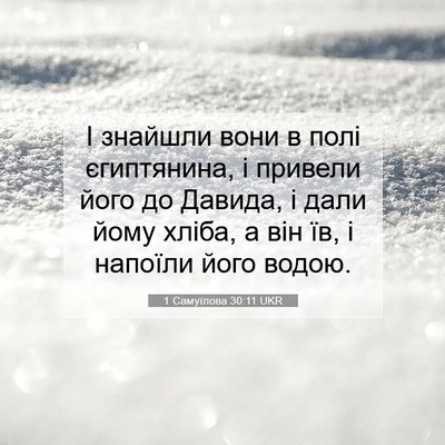 Picture 07 - 1 Самуїлова 30:11 UKR - І знайшли вони в полі - Bible Verse Picture