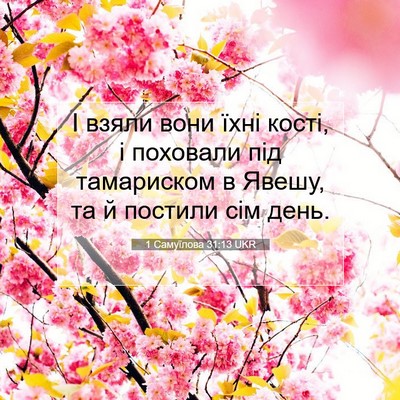 Picture 07 - 1 Самуїлова 31:13 UKR - І взяли вони їхні кості, і - Bible Verse Picture