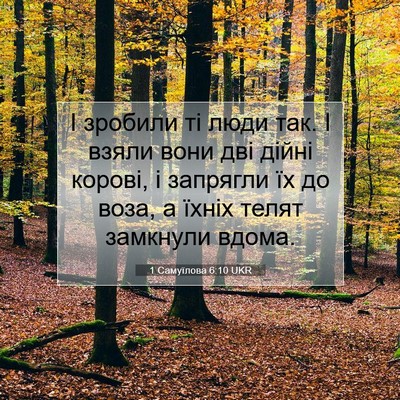 Picture 07 - 1 Самуїлова 6:10 UKR - І зробили ті люди так. І - Bible Verse Picture