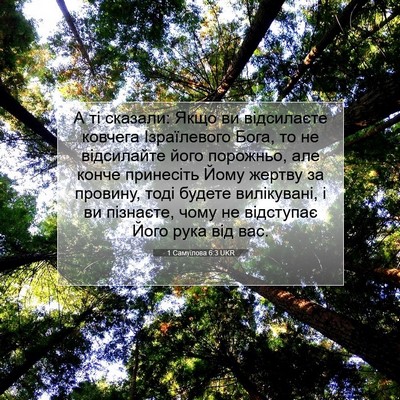 Picture 07 - 1 Самуїлова 6:3 UKR - А ті сказали: Якщо ви - Bible Verse Picture