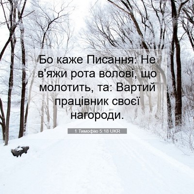 Picture 07 - 1 Тимофію 5:18 UKR - Бо каже Писання: Не в'яжи - Bible Verse Picture