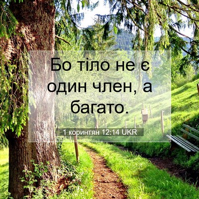 Picture 07 - 1 коринтян 12:14 UKR - Бо тіло не є один член, а - Bible Verse Picture