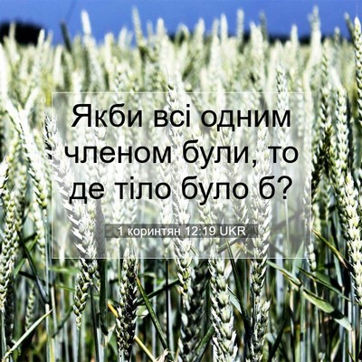 Picture 07 - 1 коринтян 12:19 UKR - Якби всі одним членом були, - Bible Verse Picture