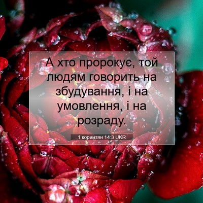 Picture 07 - 1 коринтян 14:3 UKR - А хто пророкує, той людям - Bible Verse Picture