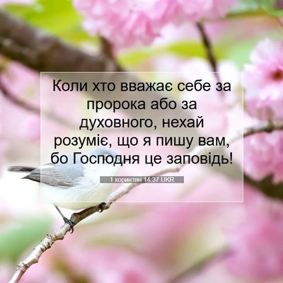 Picture 07 - 1 коринтян 14:37 UKR - Коли хто вважає себе за - Bible Verse Picture