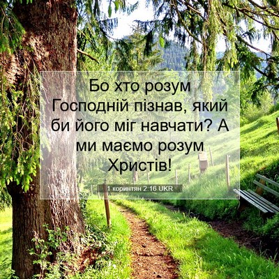 Picture 07 - 1 коринтян 2:16 UKR - Бо хто розум Господній - Bible Verse Picture