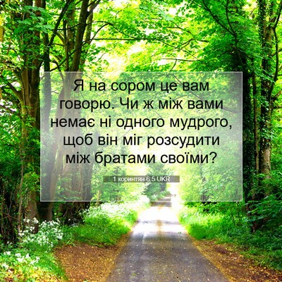 Picture 07 - 1 коринтян 6:5 UKR - Я на сором це вам говорю. Чи - Bible Verse Picture