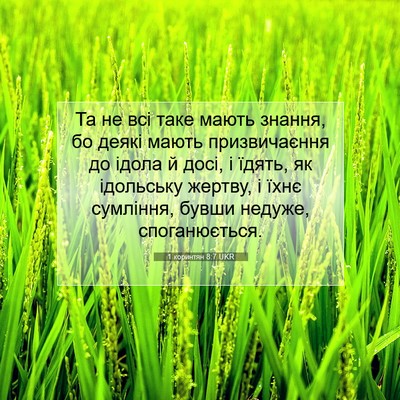 Picture 07 - 1 коринтян 8:7 UKR - Та не всі таке мають - Bible Verse Picture