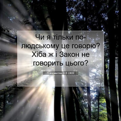 Picture 07 - 1 коринтян 9:8 UKR - Чи я тільки по-людському це - Bible Verse Picture