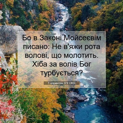 Picture 07 - 1 коринтян 9:9 UKR - Бо в Законі Мойсеєвім - Bible Verse Picture