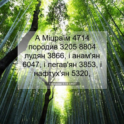 Picture 07 - 1 хроніки 1:11 UKR - А Міцраїм 4714 породив 3205 8804 - Bible Verse Picture