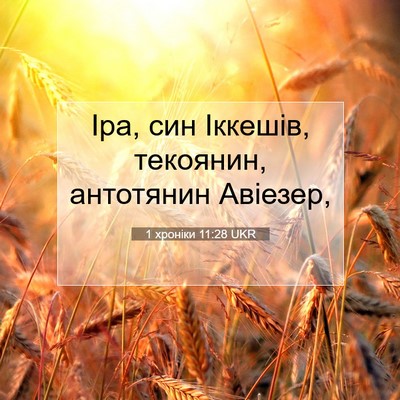 Picture 07 - 1 хроніки 11:28 UKR - Іра, син Іккешів, текоянин, - Bible Verse Picture