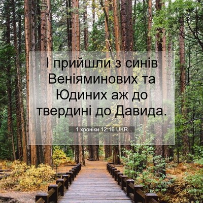 Picture 07 - 1 хроніки 12:16 UKR - І прийшли з синів - Bible Verse Picture