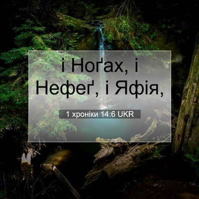 Picture 07 - 1 хроніки 14:6 UKR - і Ноґах, і Нефеґ, і - Bible Verse Picture