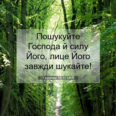 Picture 07 - 1 хроніки 16:11 UKR - Пошукуйте Господа й силу - Bible Verse Picture