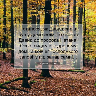 Picture 07 - 1 хроніки 17:1 UKR - І сталося, як Давид сидів - Bible Verse Picture