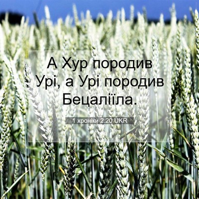 Picture 07 - 1 хроніки 2:20 UKR - А Хур породив Урі, а Урі - Bible Verse Picture