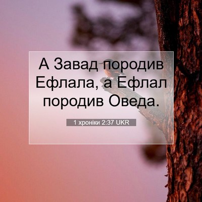 Picture 07 - 1 хроніки 2:37 UKR - А Завад породив Ефлала, а - Bible Verse Picture