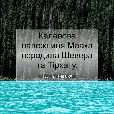 Picture 07 - 1 хроніки 2:48 UKR - Калевова наложниця Мааха - Bible Verse Picture