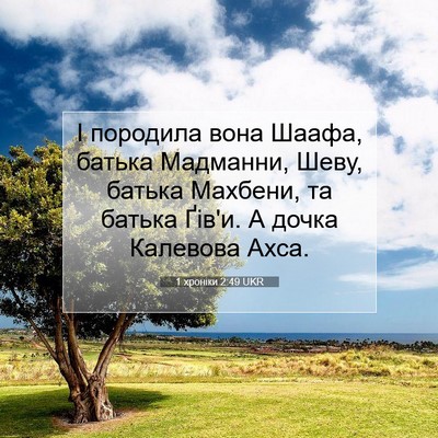 Picture 07 - 1 хроніки 2:49 UKR - І породила вона Шаафа, - Bible Verse Picture