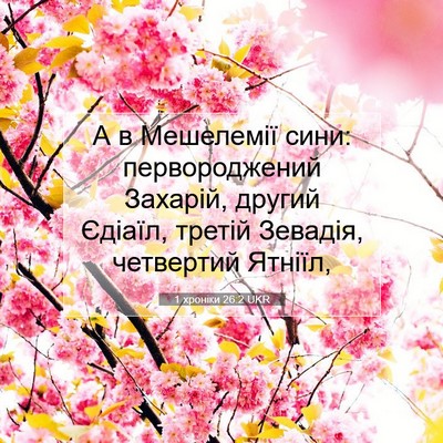 Picture 07 - 1 хроніки 26:2 UKR - А в Мешелемії сини: - Bible Verse Picture