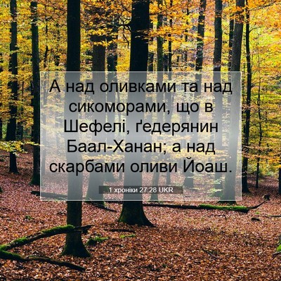 Picture 07 - 1 хроніки 27:28 UKR - А над оливками та над - Bible Verse Picture