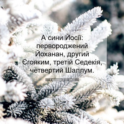 Picture 07 - 1 хроніки 3:15 UKR - А сини Йосії: - Bible Verse Picture