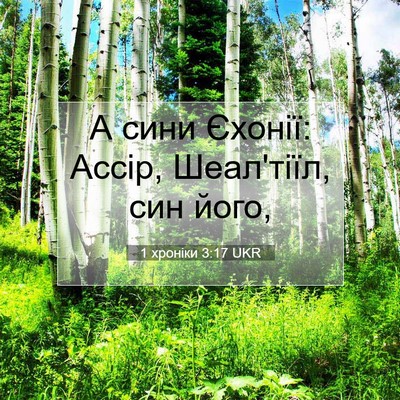 Picture 07 - 1 хроніки 3:17 UKR - А сини Єхонії: Ассір, - Bible Verse Picture