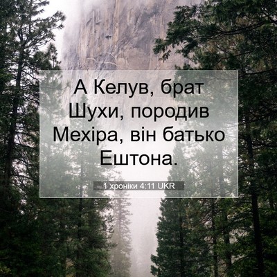Picture 07 - 1 хроніки 4:11 UKR - А Келув, брат Шухи, породив - Bible Verse Picture