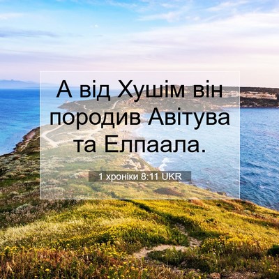 Picture 07 - 1 хроніки 8:11 UKR - А від Хушім він породив - Bible Verse Picture