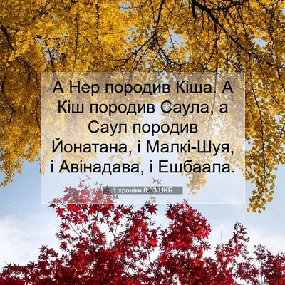 Picture 07 - 1 хроніки 8:33 UKR - А Нер породив Кіша. А Кіш - Bible Verse Picture