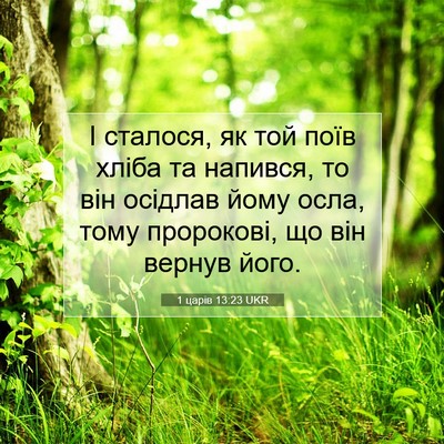 Picture 07 - 1 царів 13:23 UKR - І сталося, як той поїв - Bible Verse Picture