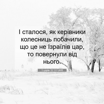 Picture 07 - 1 царів 22:33 UKR - І сталося, як керівники - Bible Verse Picture