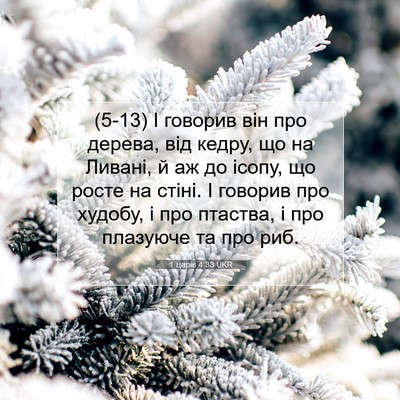 Picture 07 - 1 царів 4:33 UKR - (5-13) І говорив він про - Bible Verse Picture
