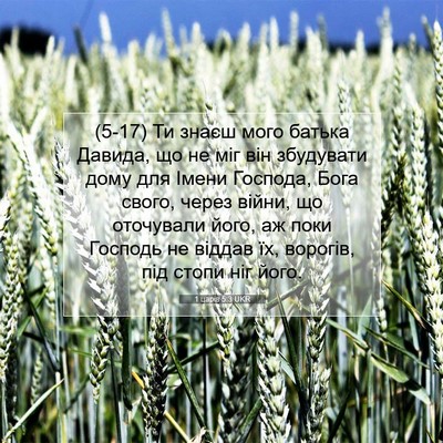 Picture 07 - 1 царів 5:3 UKR - (5-17) Ти знаєш мого батька - Bible Verse Picture