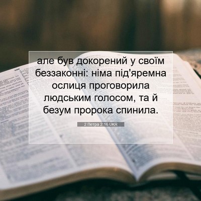 Picture 07 - 2 Петра 2:16 UKR - але був докорений у своїм - Bible Verse Picture
