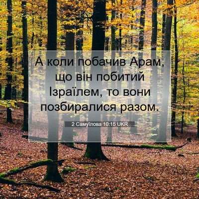 Picture 07 - 2 Самуїлова 10:15 UKR - А коли побачив Арам, що він - Bible Verse Picture