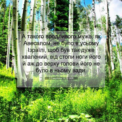 Picture 07 - 2 Самуїлова 14:25 UKR - А такого вродливого мужа, - Bible Verse Picture