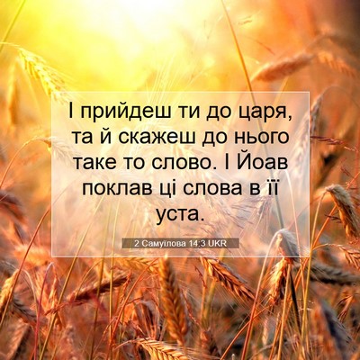 Picture 07 - 2 Самуїлова 14:3 UKR - І прийдеш ти до царя, та й - Bible Verse Picture
