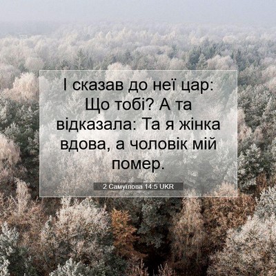 Picture 07 - 2 Самуїлова 14:5 UKR - І сказав до неї цар: Що - Bible Verse Picture