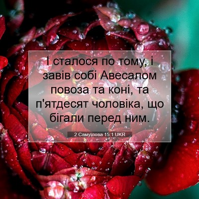 Picture 07 - 2 Самуїлова 15:1 UKR - І сталося по тому, і завів - Bible Verse Picture